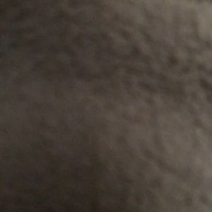 Meet your Posher, Wayne